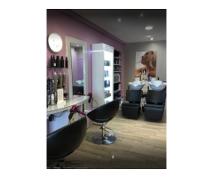 RECHERCHE COIFFEUR(SE )