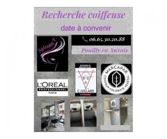 RECHERCHE COIFFEUR(SE )