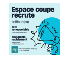 RECHERCHE COIFFEUR(SE )