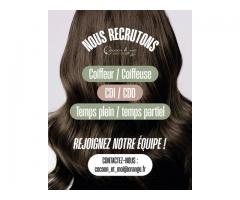 Coiffeur (se) CDI 35h