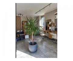 A vendre salon de coiffure Lyon 4